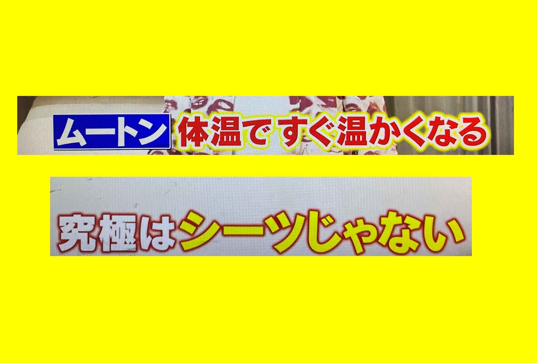 テレビでムートンシーツが取り上げられました！究極はシーツじゃない！